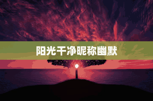 阳光干净昵称幽默